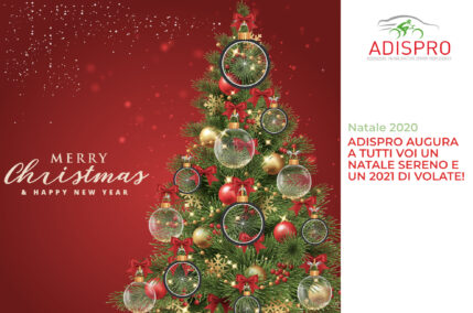 Buon Natale da Adispro!